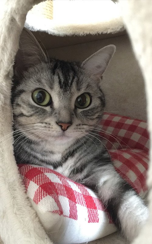 占い師雪風カノンのお気に入り写真2